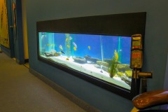 aquarium4